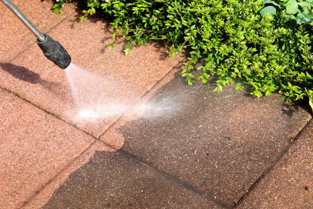 Best Exterior Home Cleaning  in Milton, GA